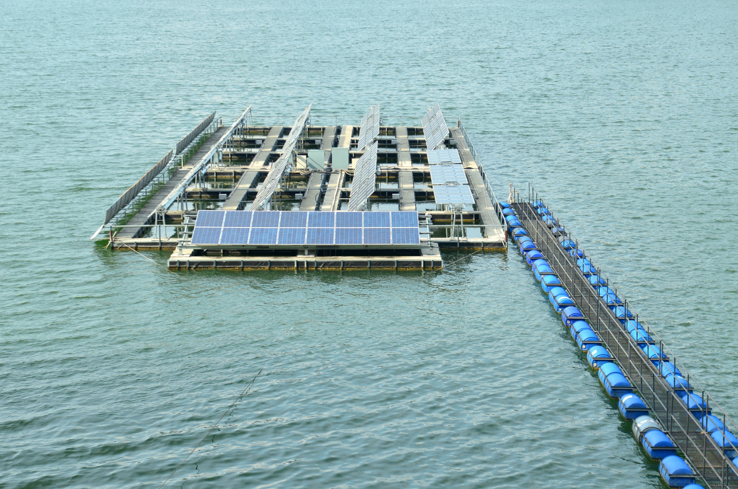 โรงไฟฟ้าพลังงานแสงอาทิตย์บนทุ่นลอยน้ำ